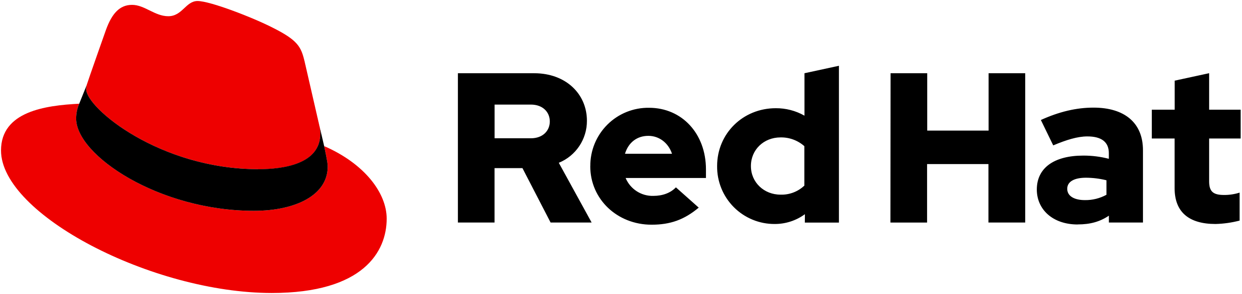 partner