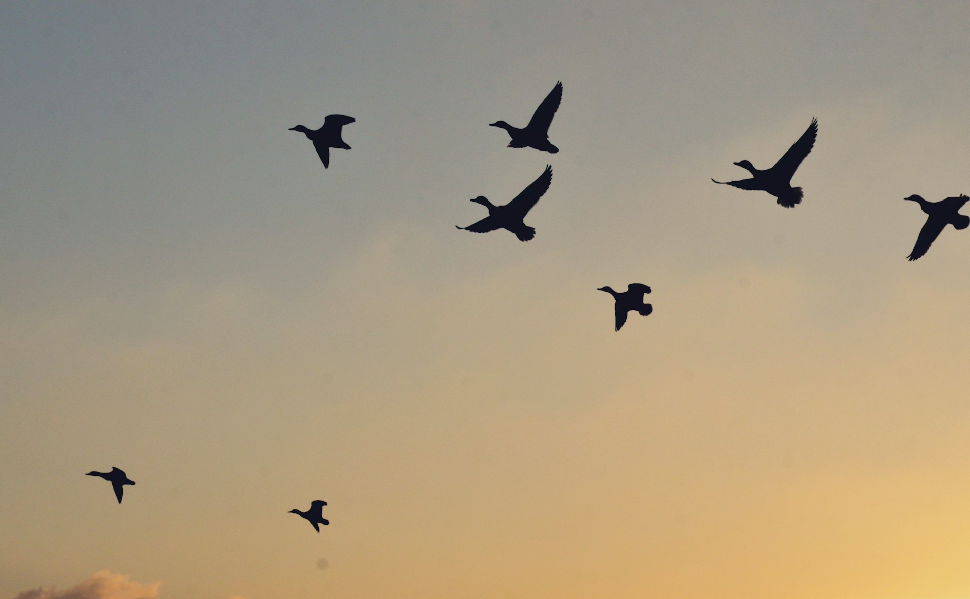Fresh Start Cloud Migration Strategy: Enterprise Guide